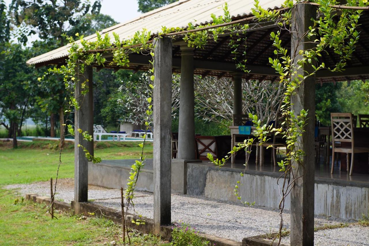 Sevanagama Guest House Habarana Exterior photo